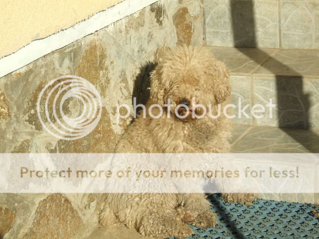 [Image: DSCF1160.jpg]