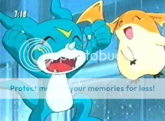 Empate na votação de pets