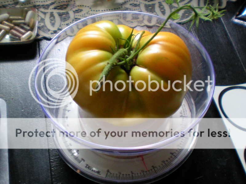 26oz Kellogg's Breakfast Tomato 2 photo 26ozKBm2.png