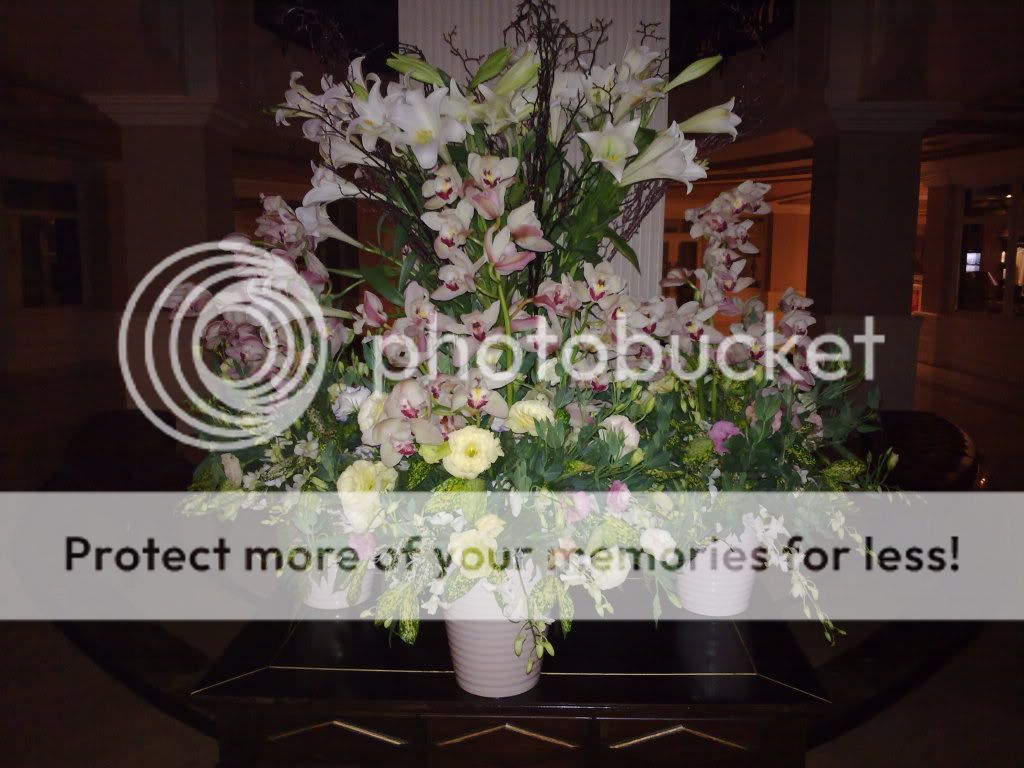 topic về những hình ảnh chụp bằng điện thoại di động - 7