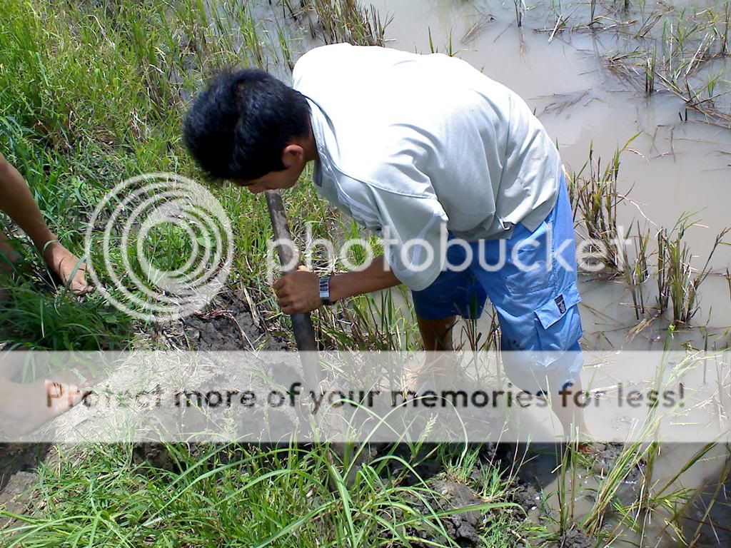 topic về những hình ảnh chụp bằng điện thoại di động