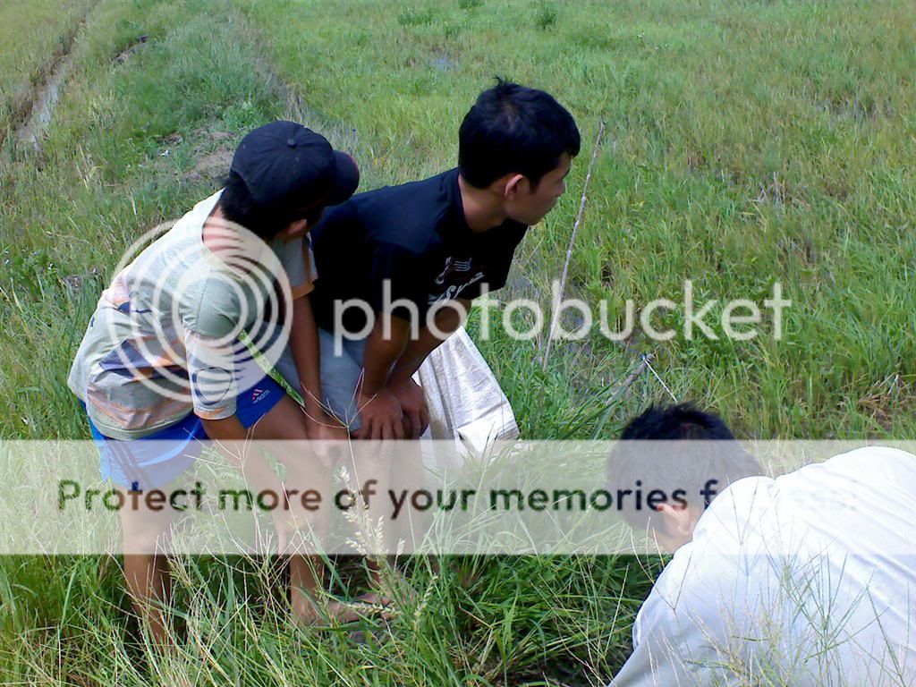 topic về những hình ảnh chụp bằng điện thoại di động - 2