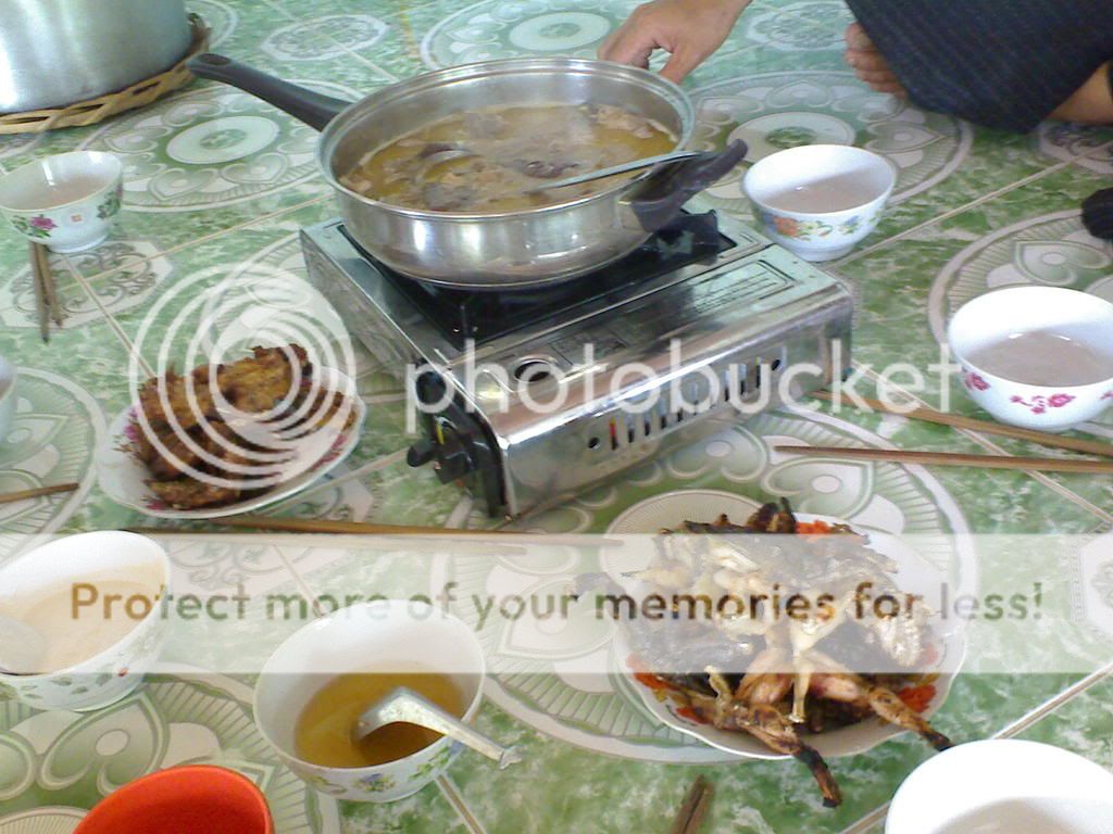 topic về những hình ảnh chụp bằng điện thoại di động - 6