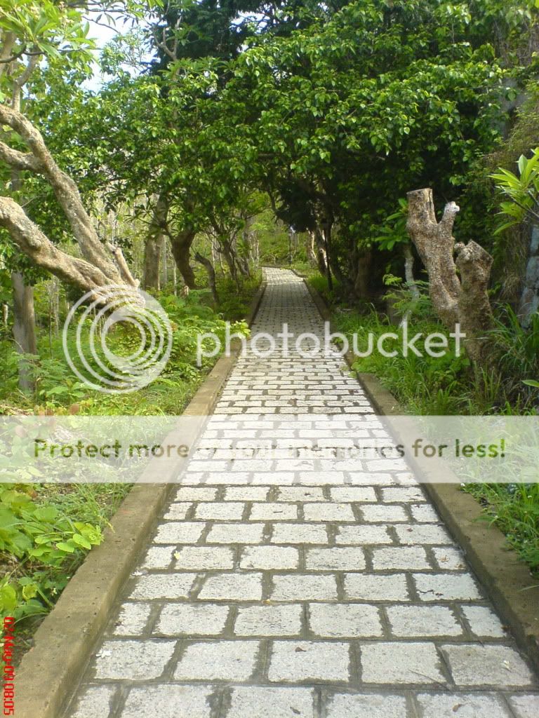 topic về những hình ảnh chụp bằng điện thoại di động - 2