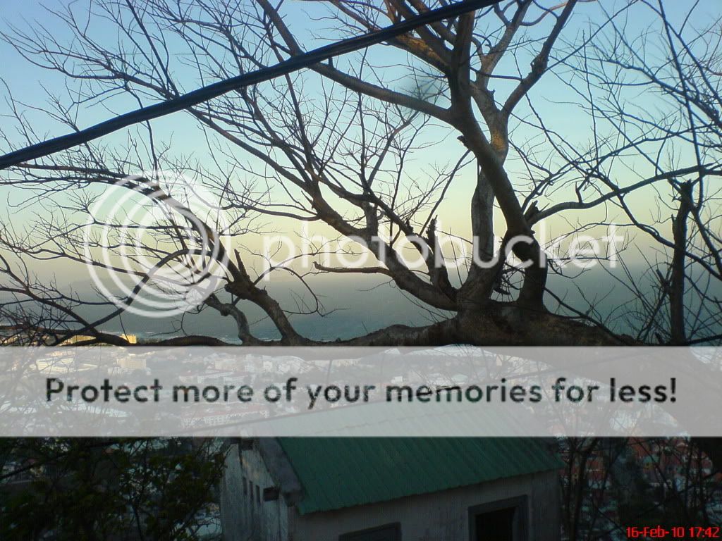 topic về những hình ảnh chụp bằng điện thoại di động - 16