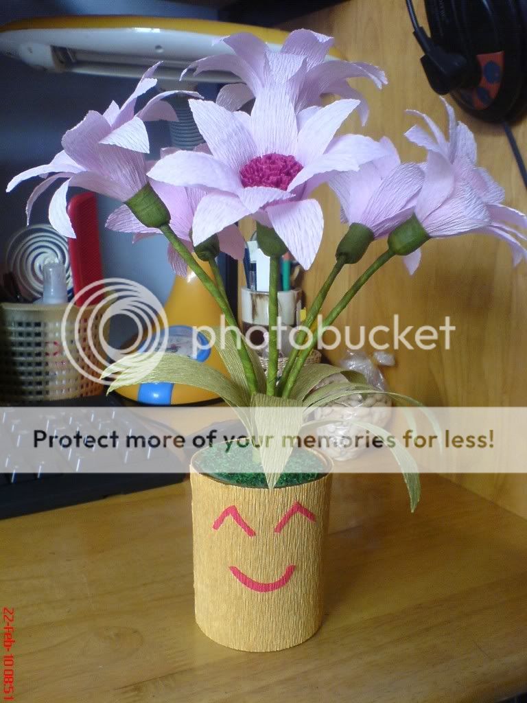 topic về những hình ảnh chụp bằng điện thoại di động - 15