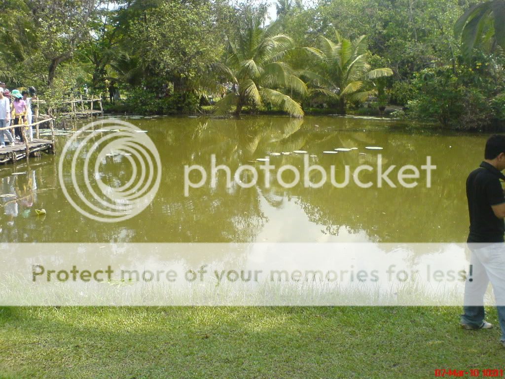 topic về những hình ảnh chụp bằng điện thoại di động - 5