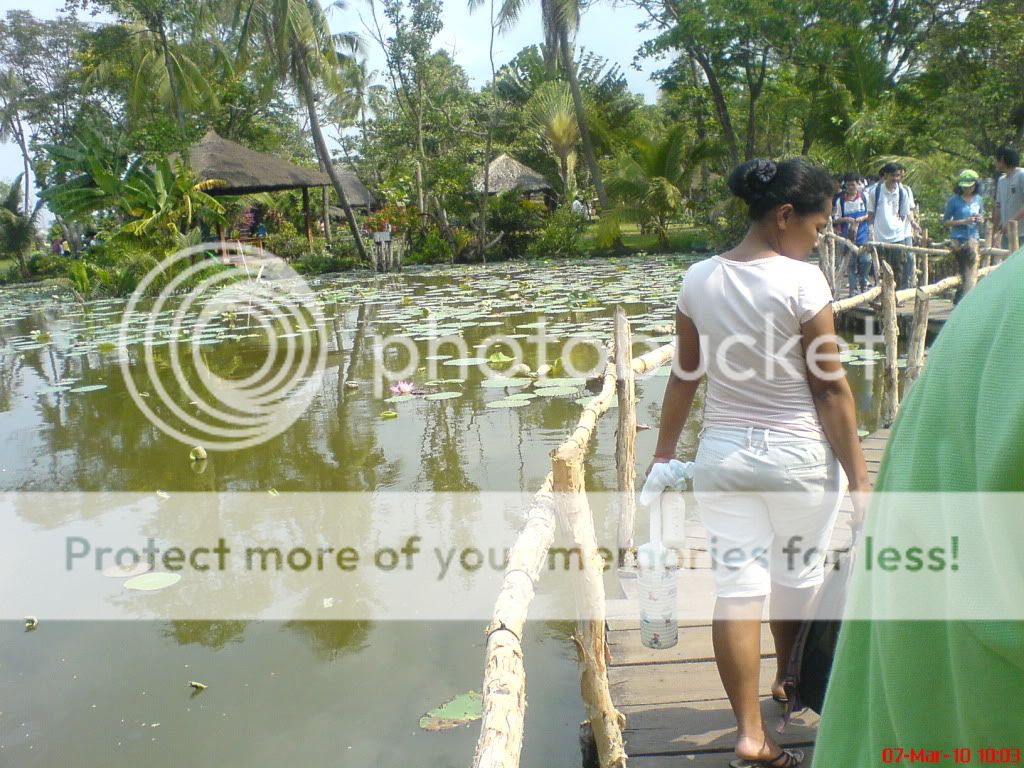 topic về những hình ảnh chụp bằng điện thoại di động - 6