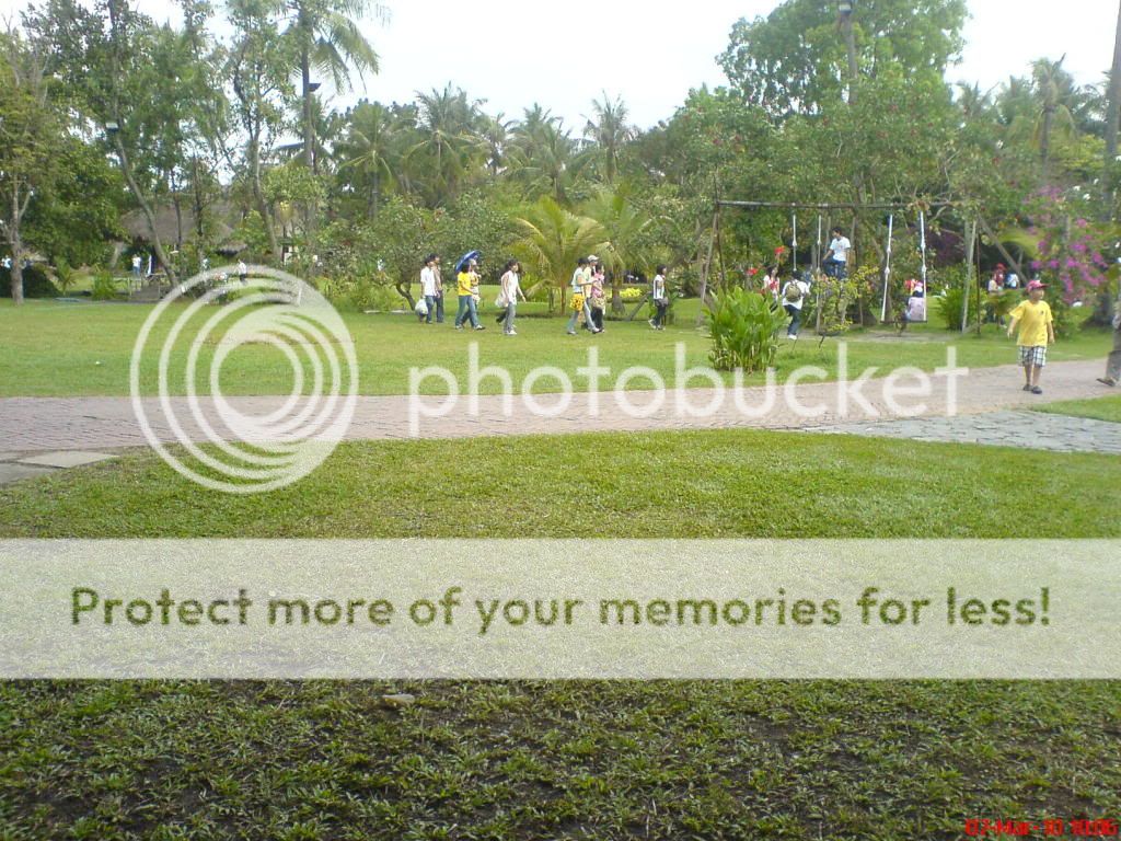 topic về những hình ảnh chụp bằng điện thoại di động - 7