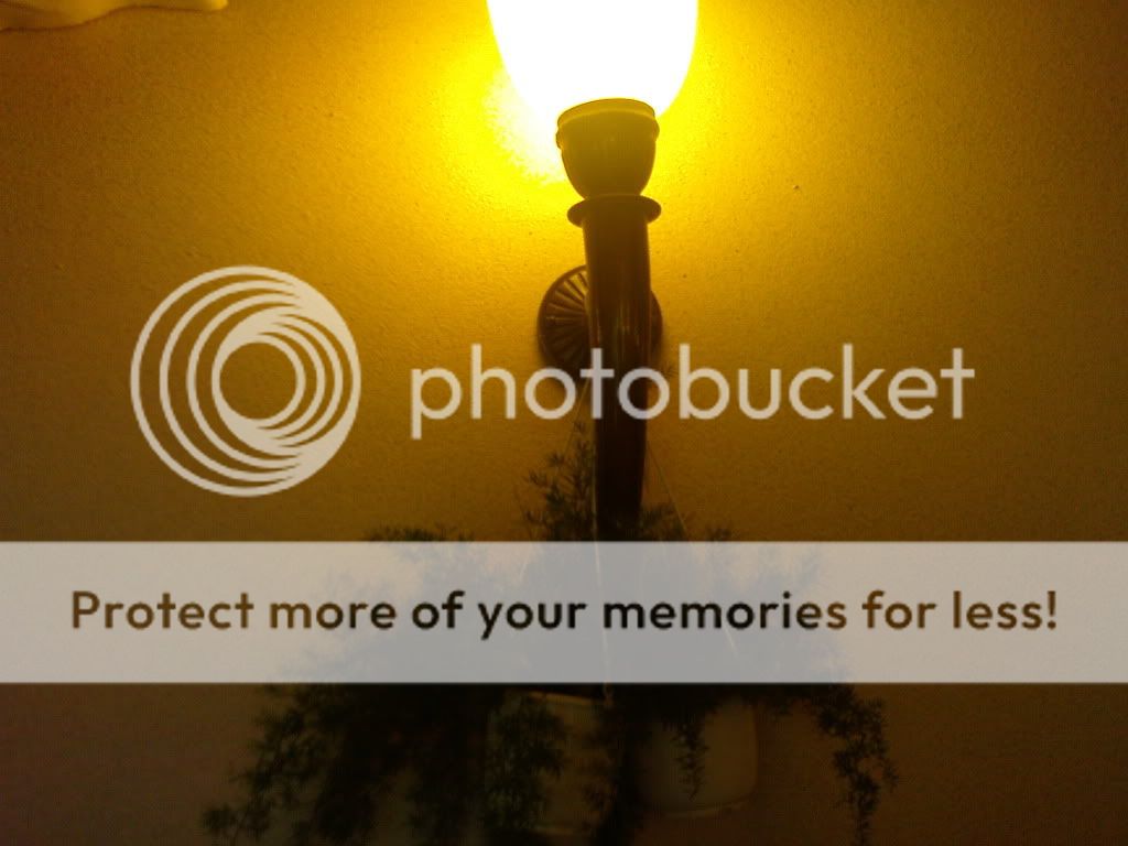 topic về những hình ảnh chụp bằng điện thoại di động - 4