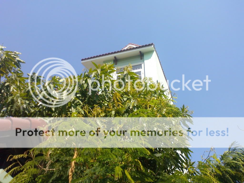 topic về những hình ảnh chụp bằng điện thoại di động - 3