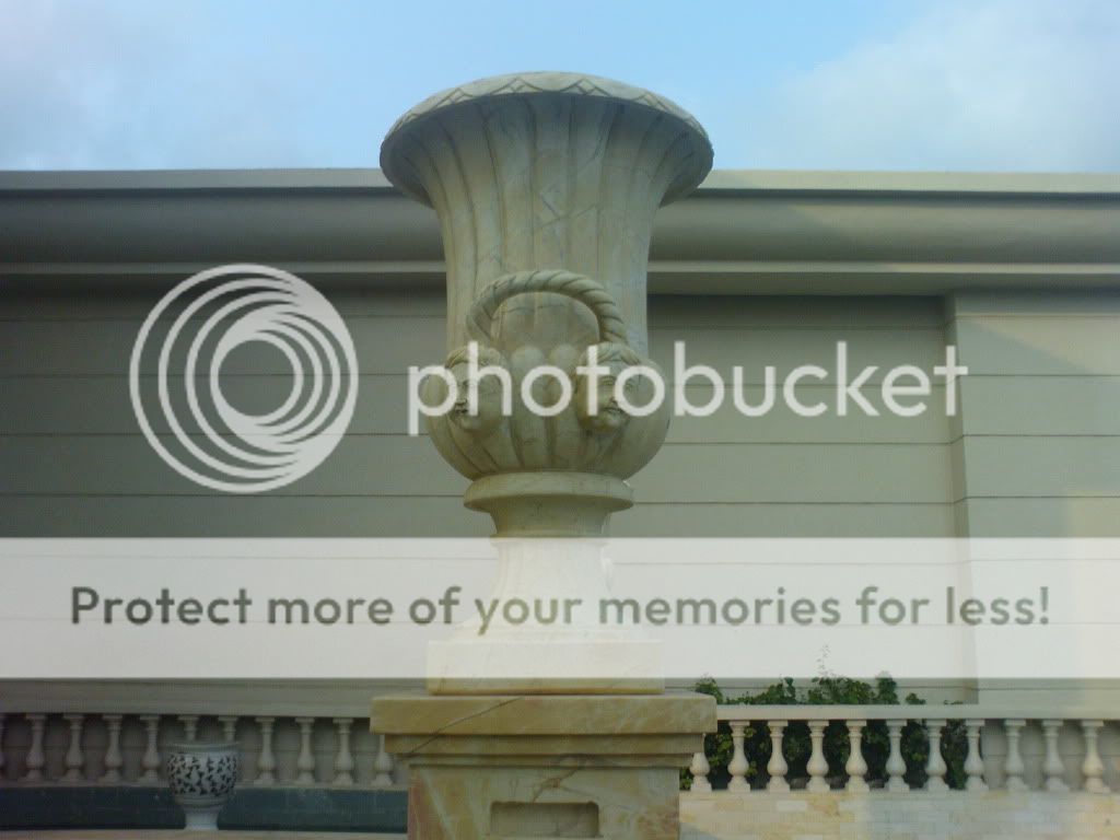 topic về những hình ảnh chụp bằng điện thoại di động - 6